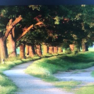 Meet your Posher, Dustin